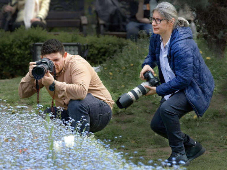 Digital Still Photography Contest
